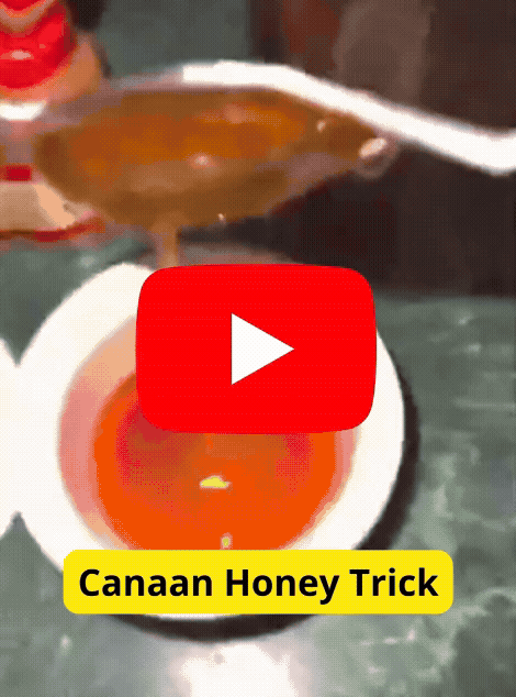 Canaan Honey Trick — Watch the free video